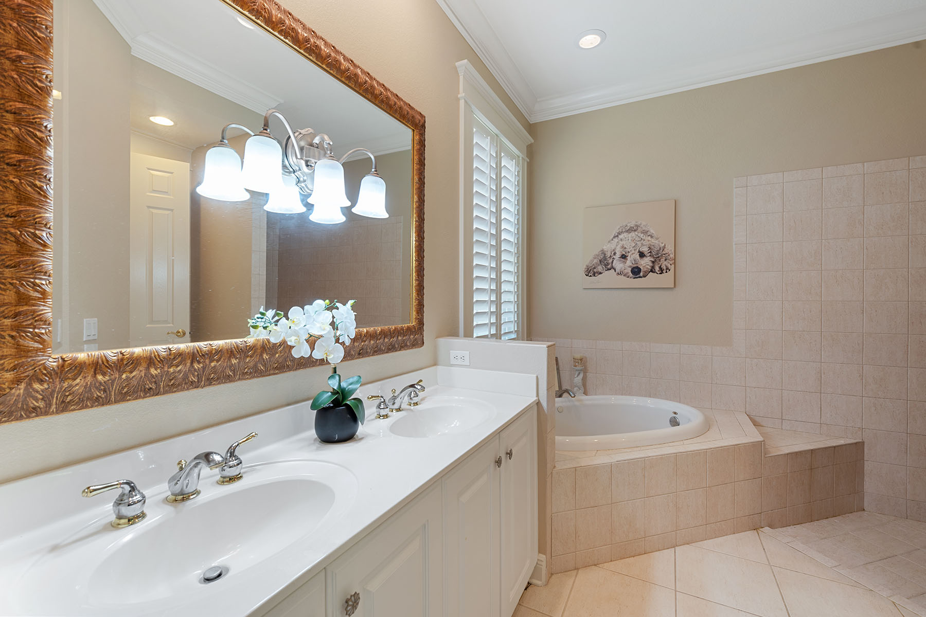 3793 Cotton Green Path Drive