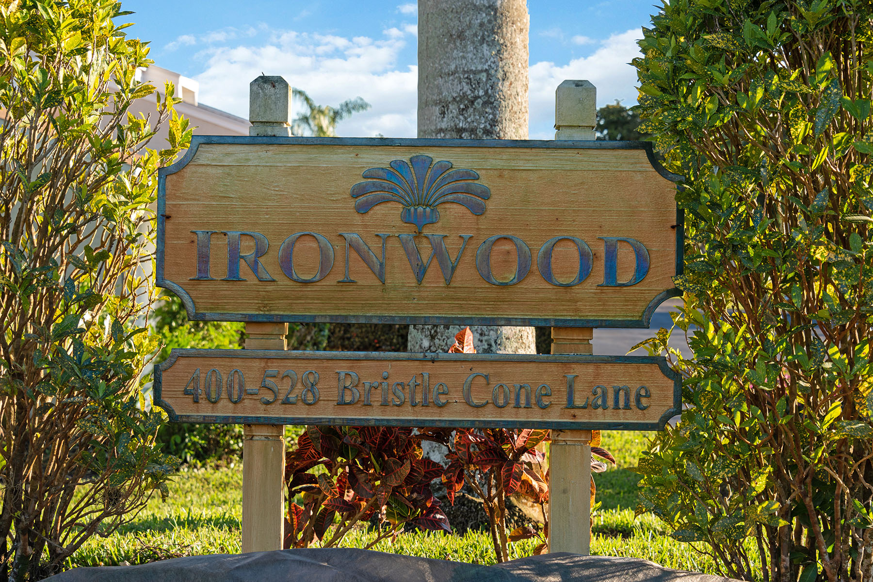 476 Bristle Cone Lane , 39