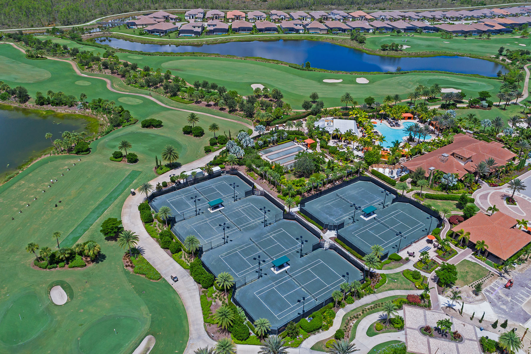 8677 Dilillo Court