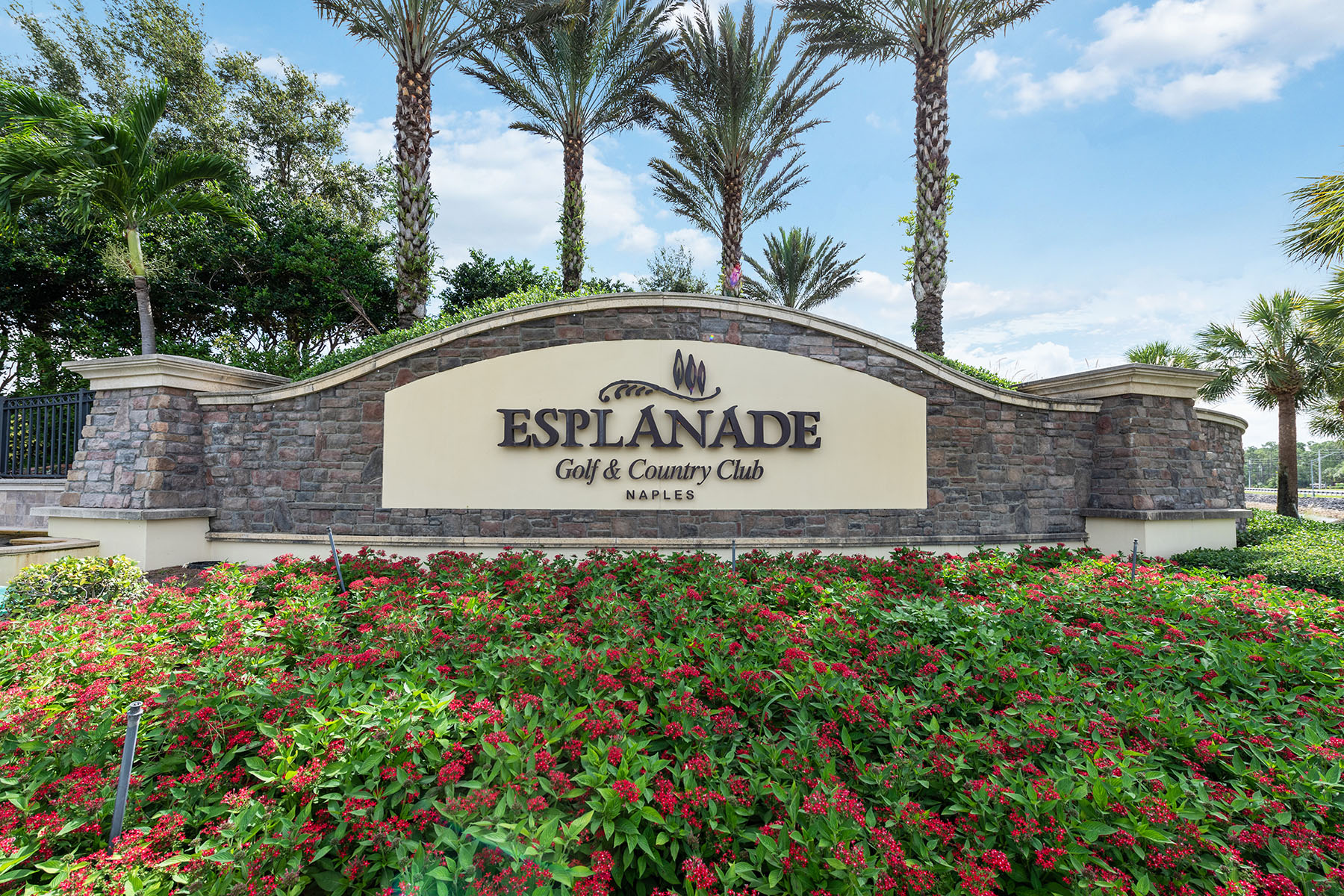 8677 Dilillo Court
