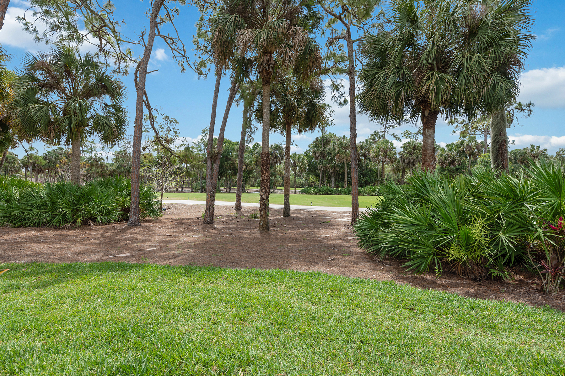 163 Cypress View Drive