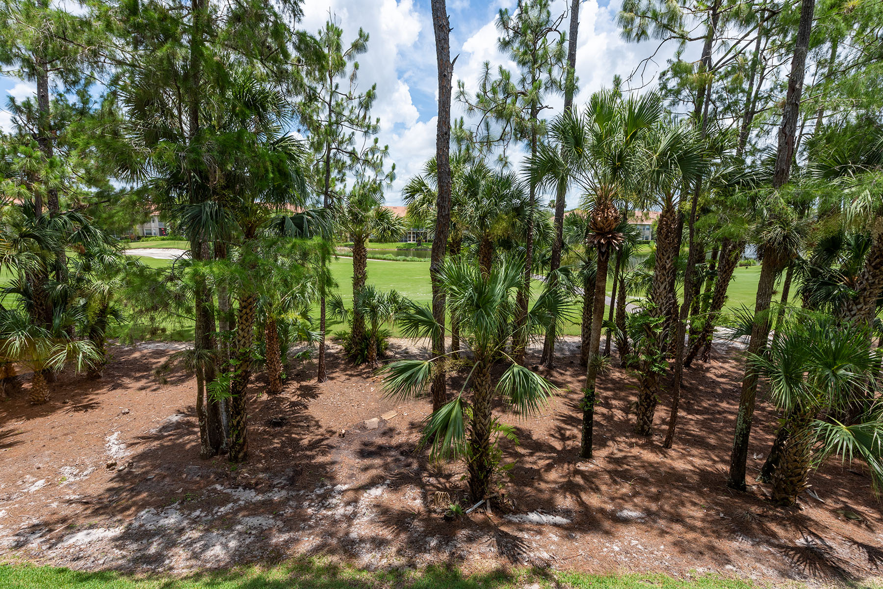 3950 Loblolly Bay Drive , 206