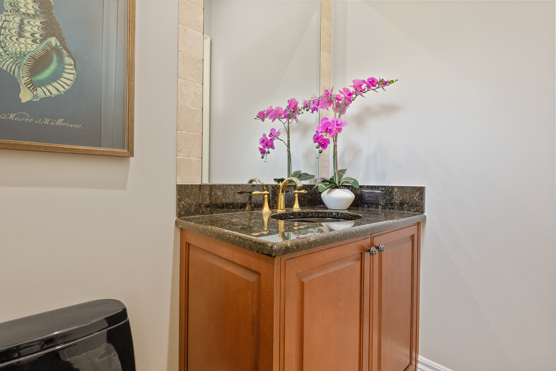 3856 Isla Del Sol Way
