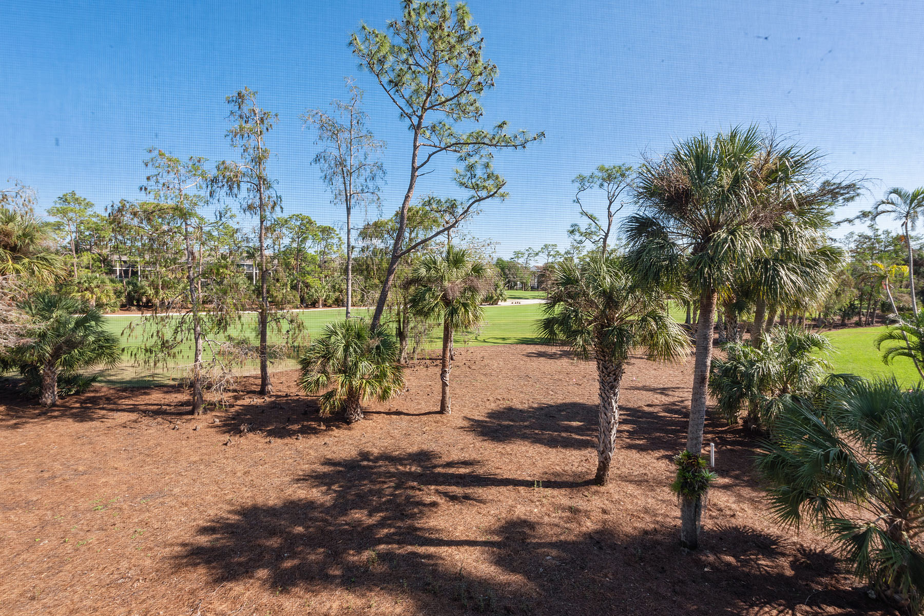 88 Cypress View Drive