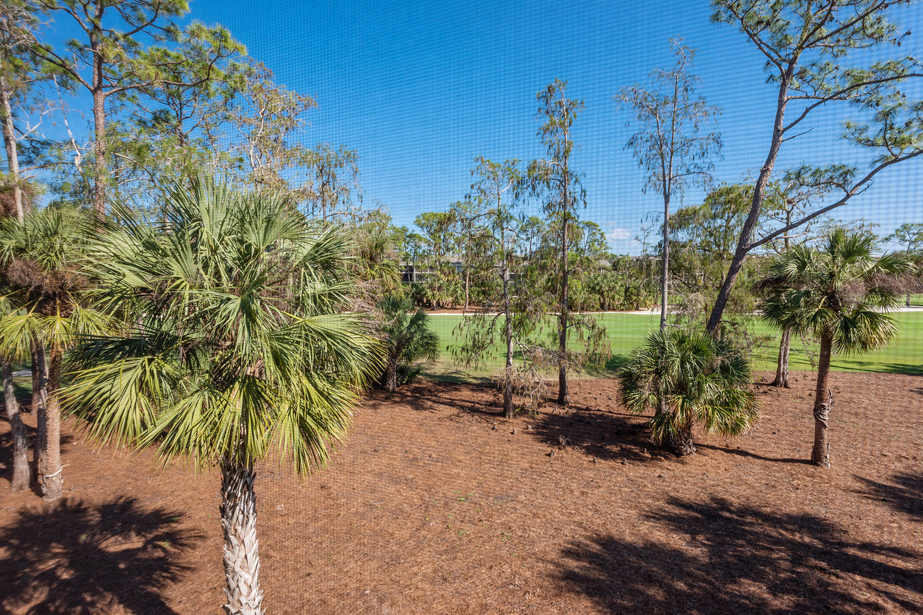 88 Cypress View Drive