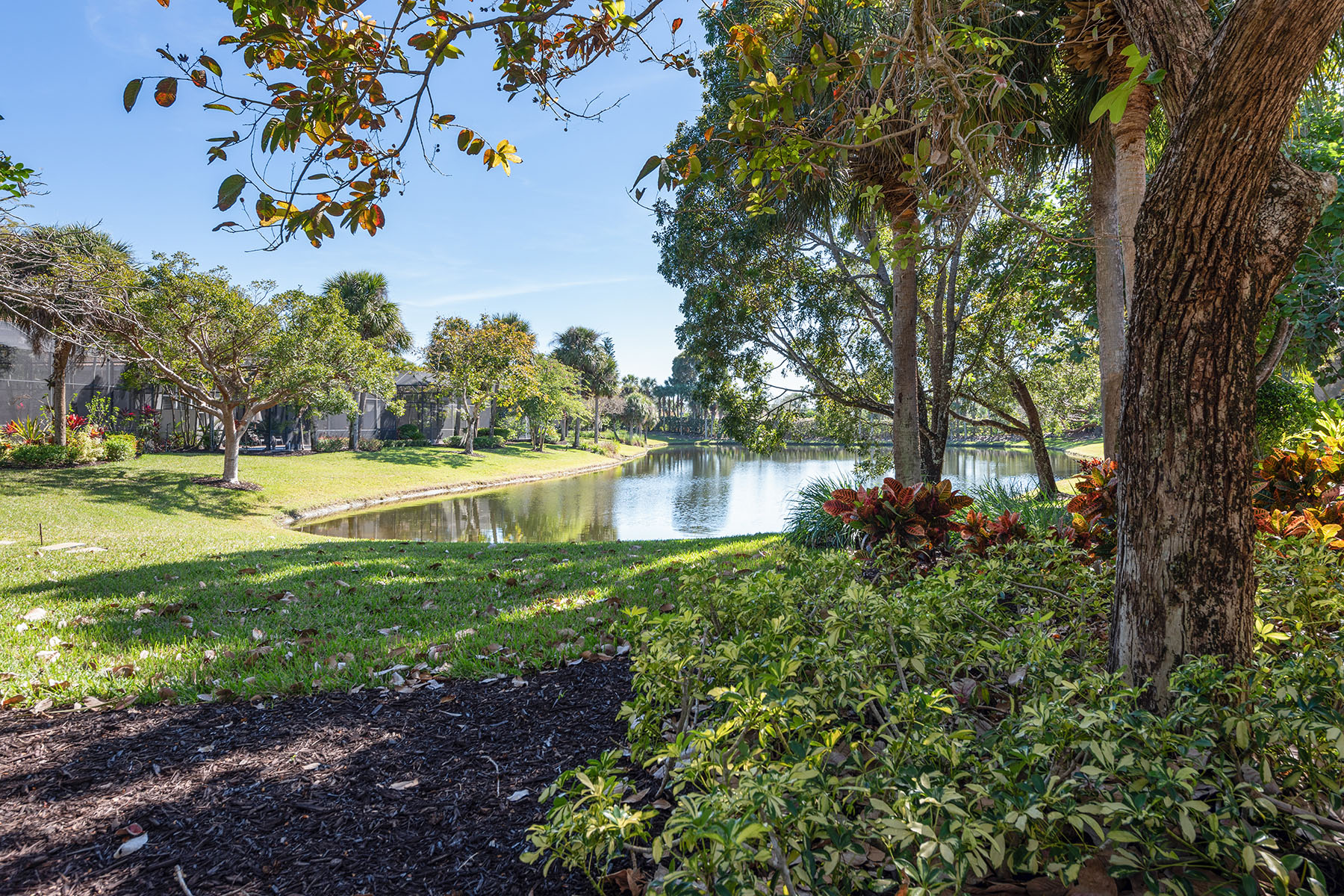 8556 Pepper Tree Way