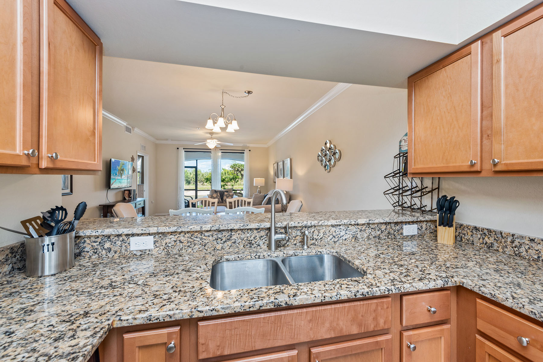 9816 Giaveno Circle , 1315