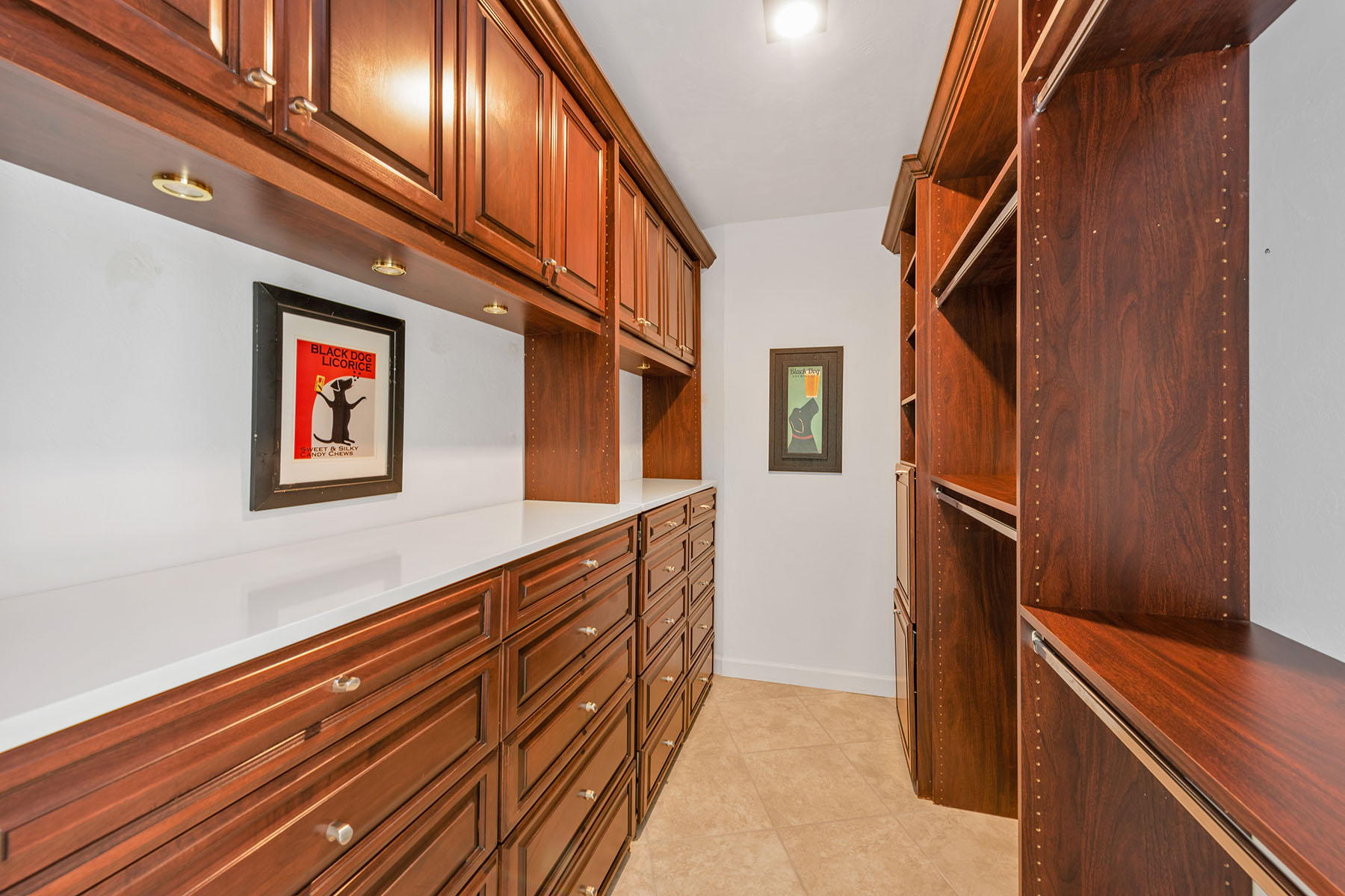 123 Newport Drive