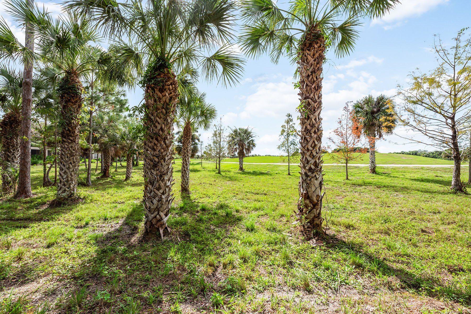 9130 Cherry Oaks Lane , 101