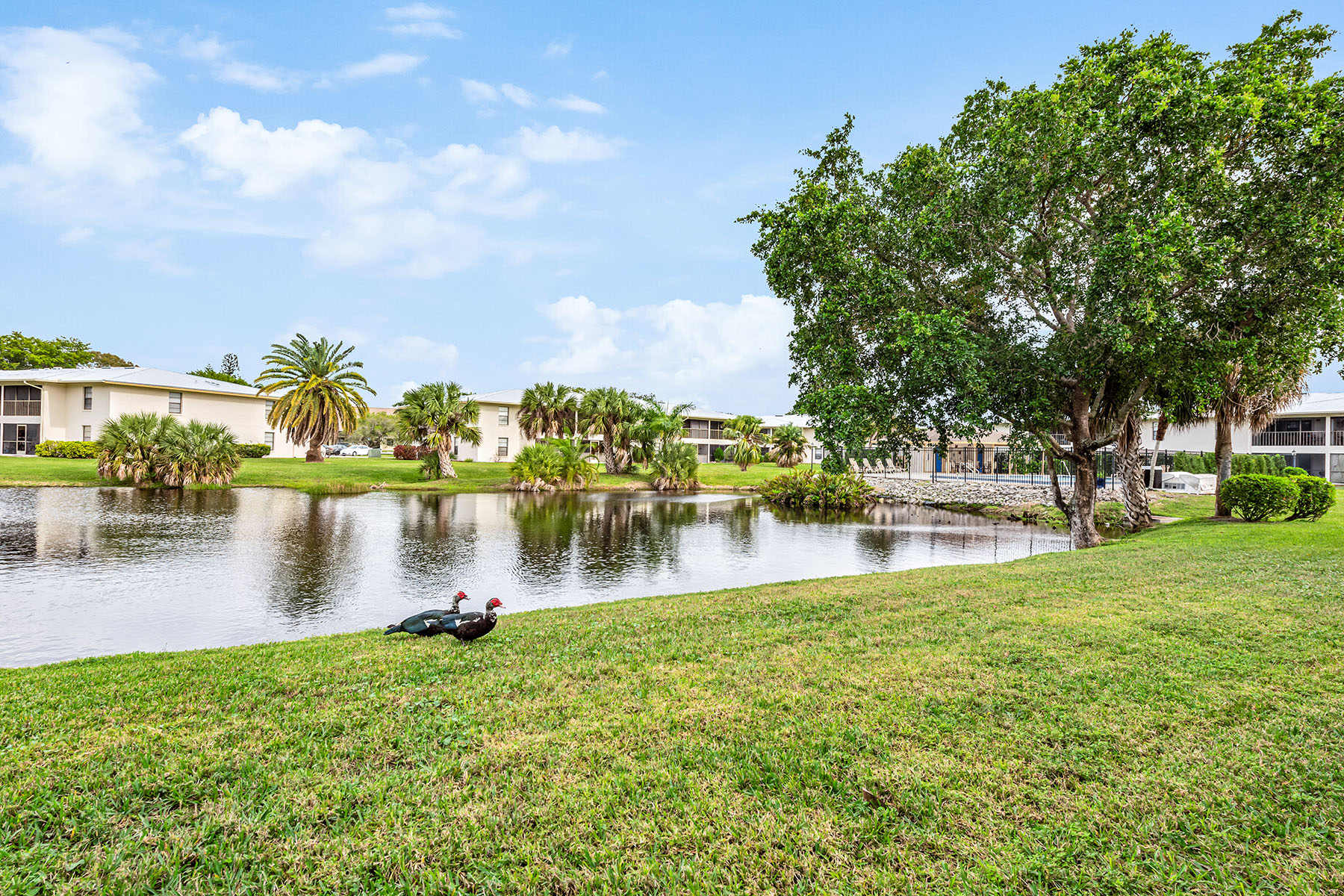 135 Cypress Way E , 1