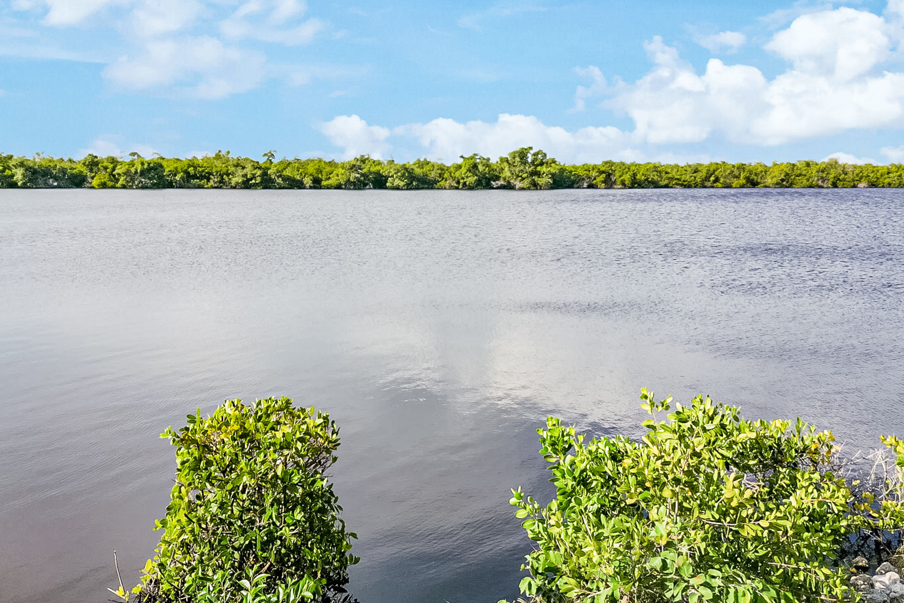 1015 Mainsail Drive , 115