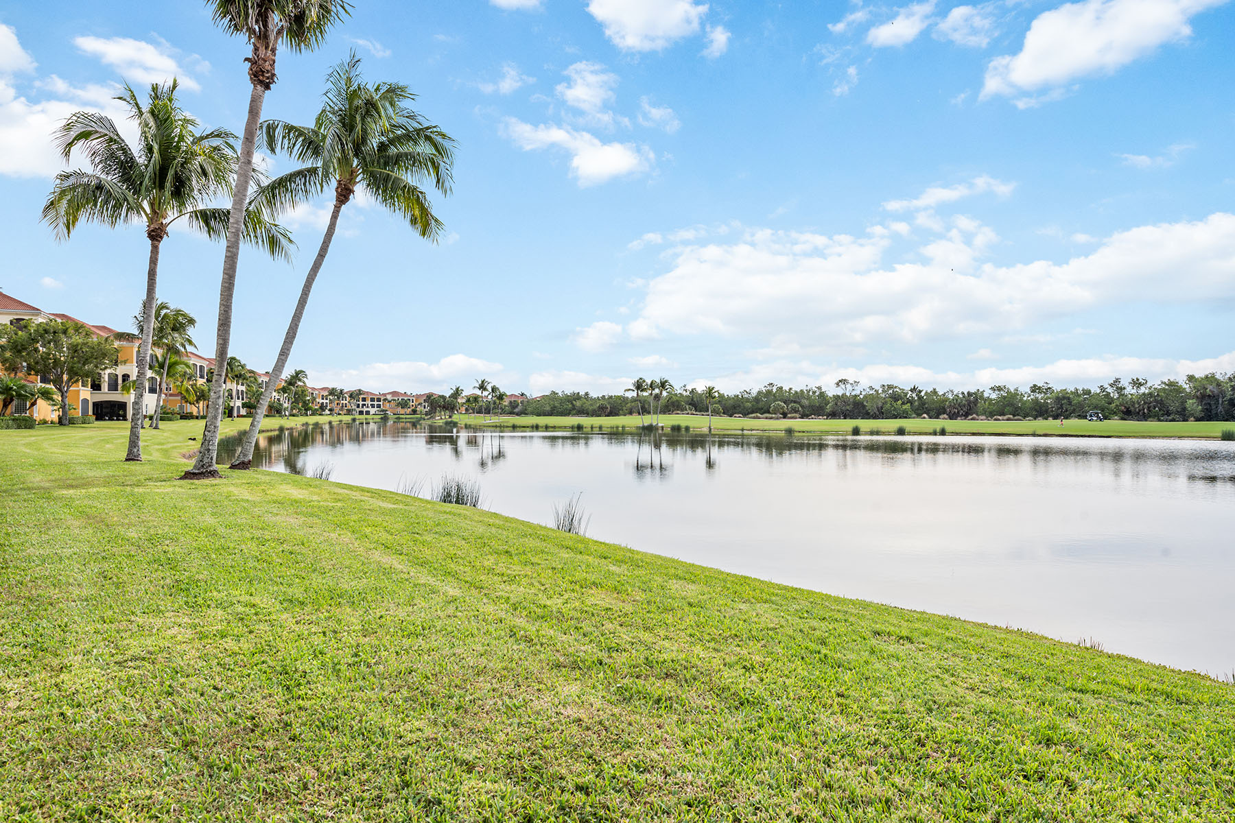 1414 Borghese Lane , 101