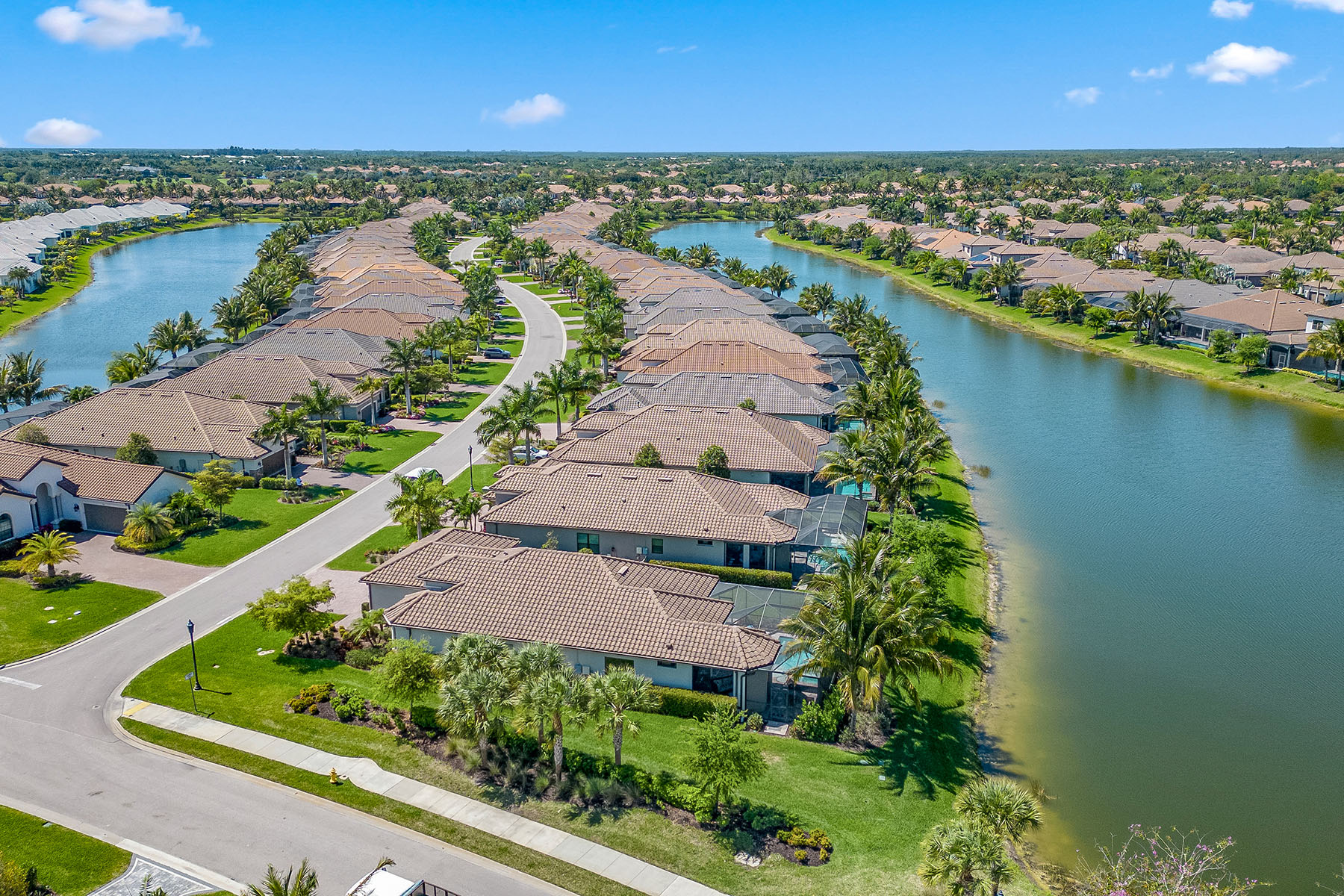 3241 Belon Lane