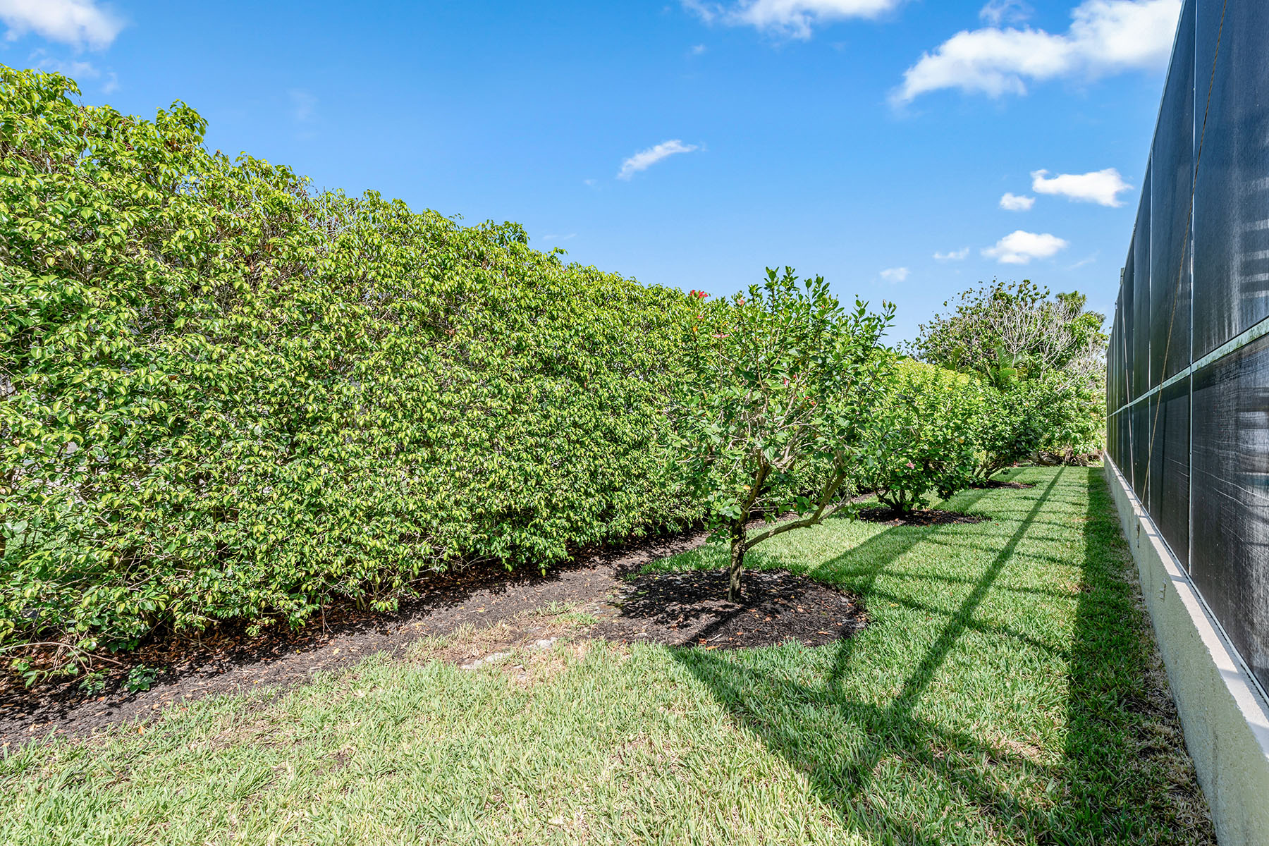 140 Balfour Drive