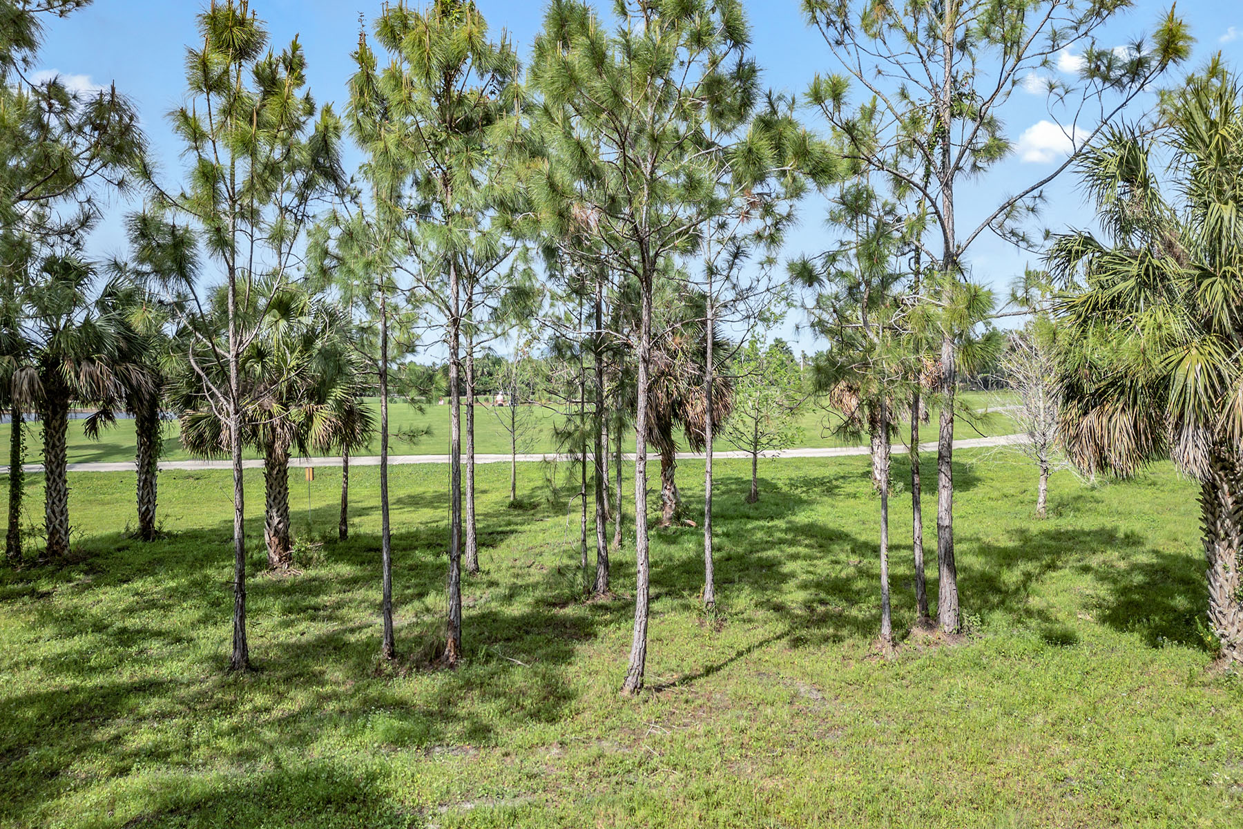 9097 Cherry Oaks Trail , 201