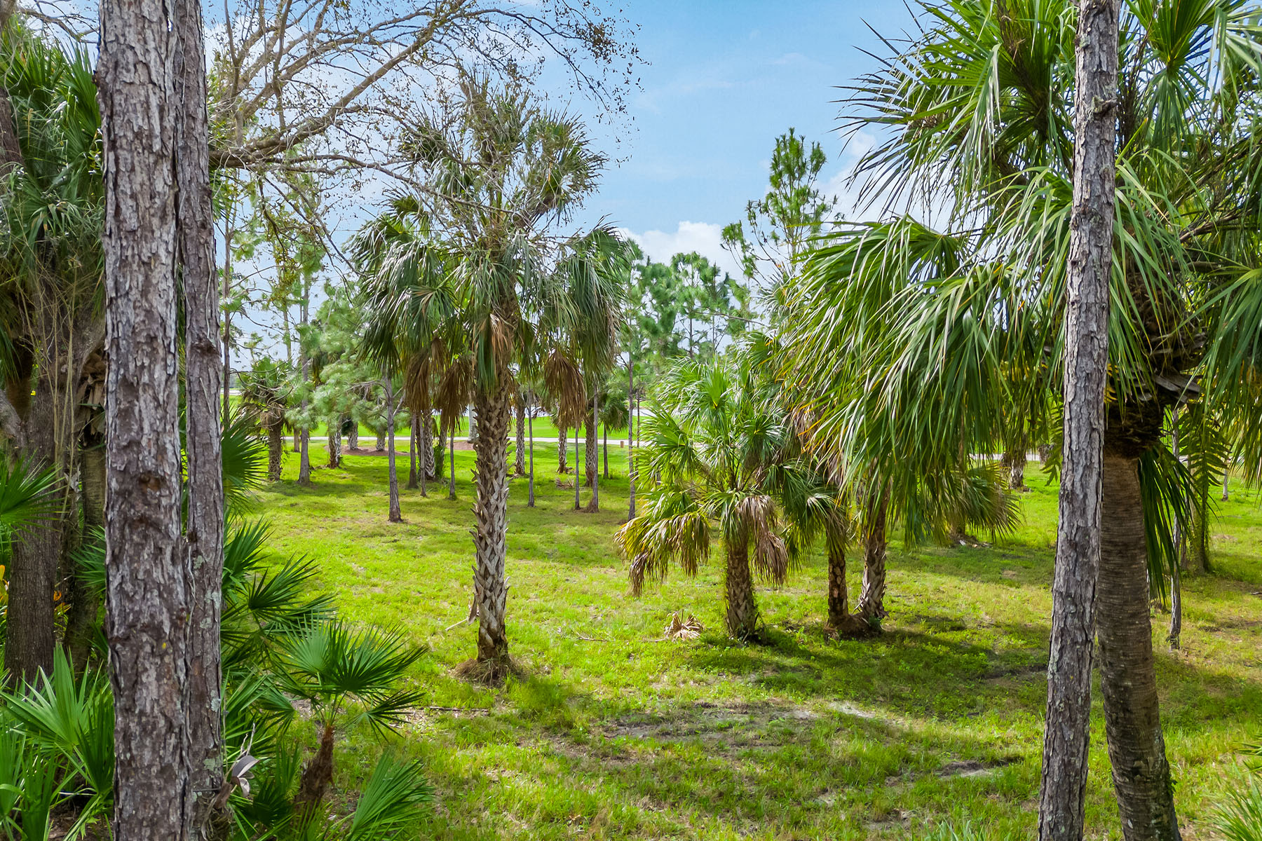 9097 Cherry Oaks Trail , 202