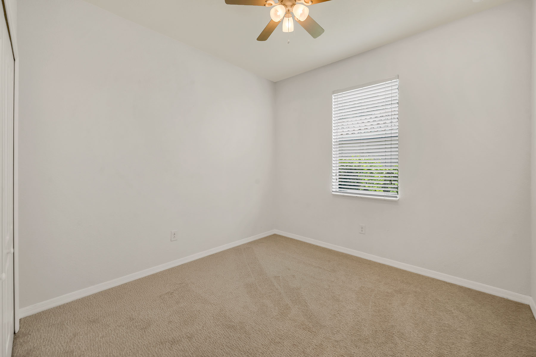14800 Canton Court
