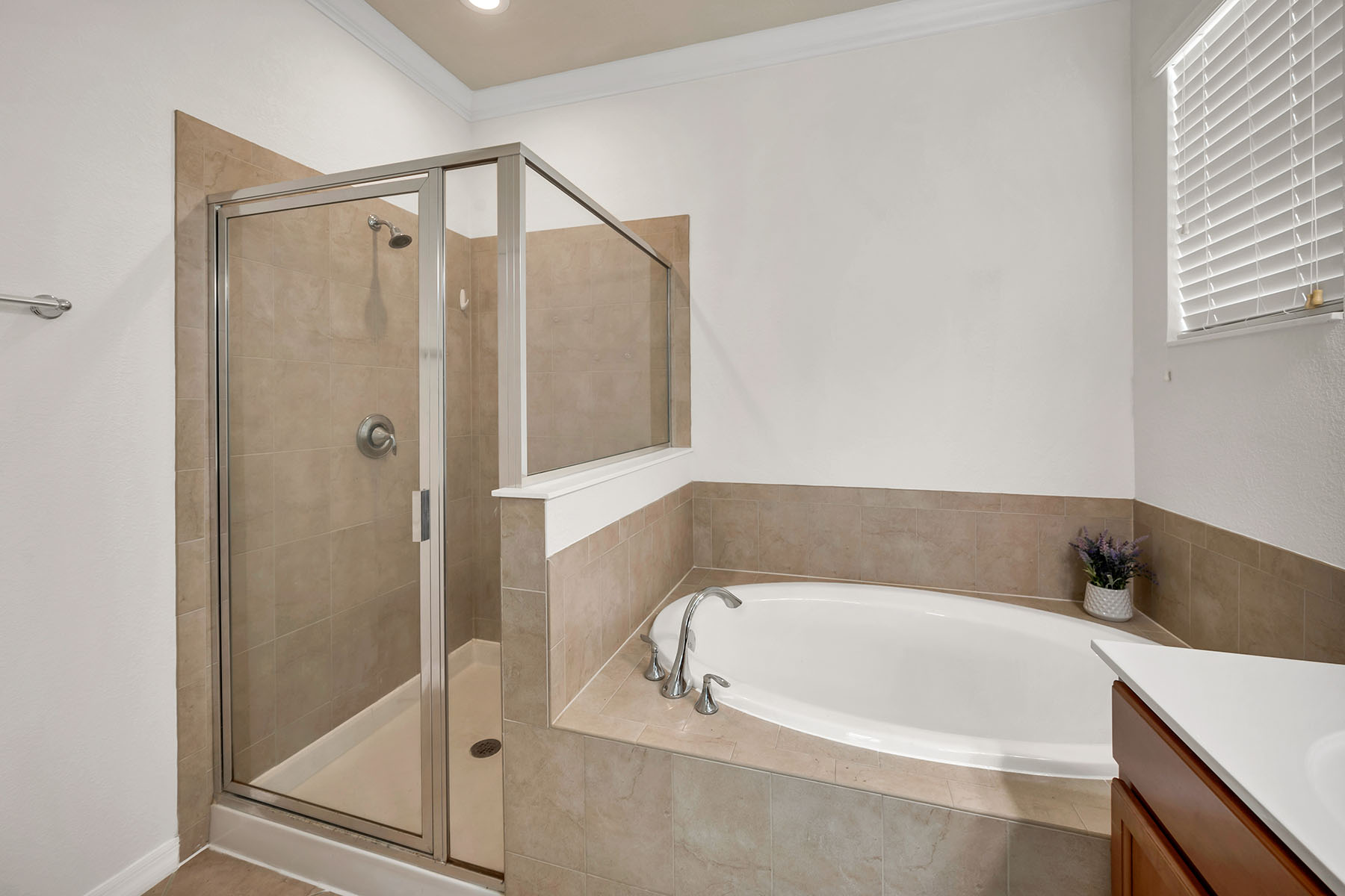 14800 Canton Court