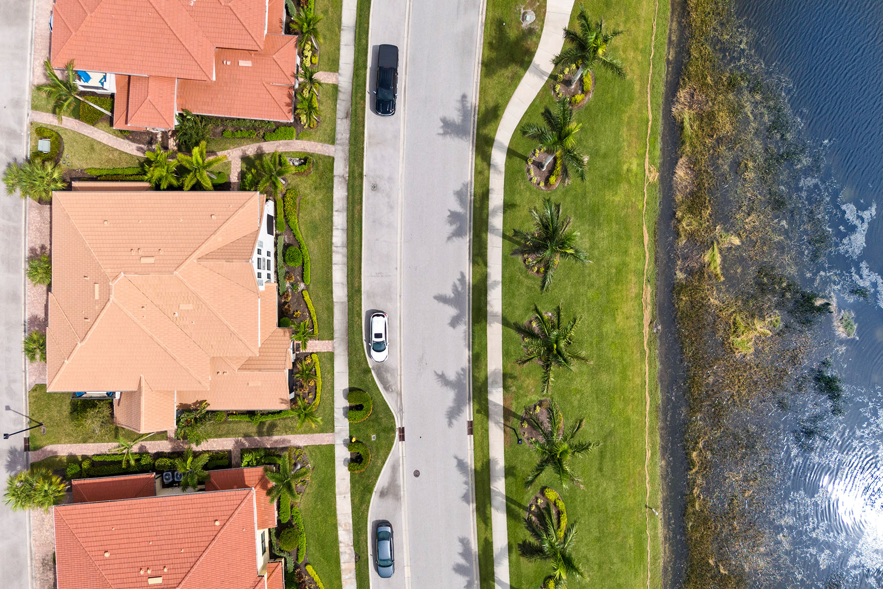 1431 Santiago Circle , 1901
