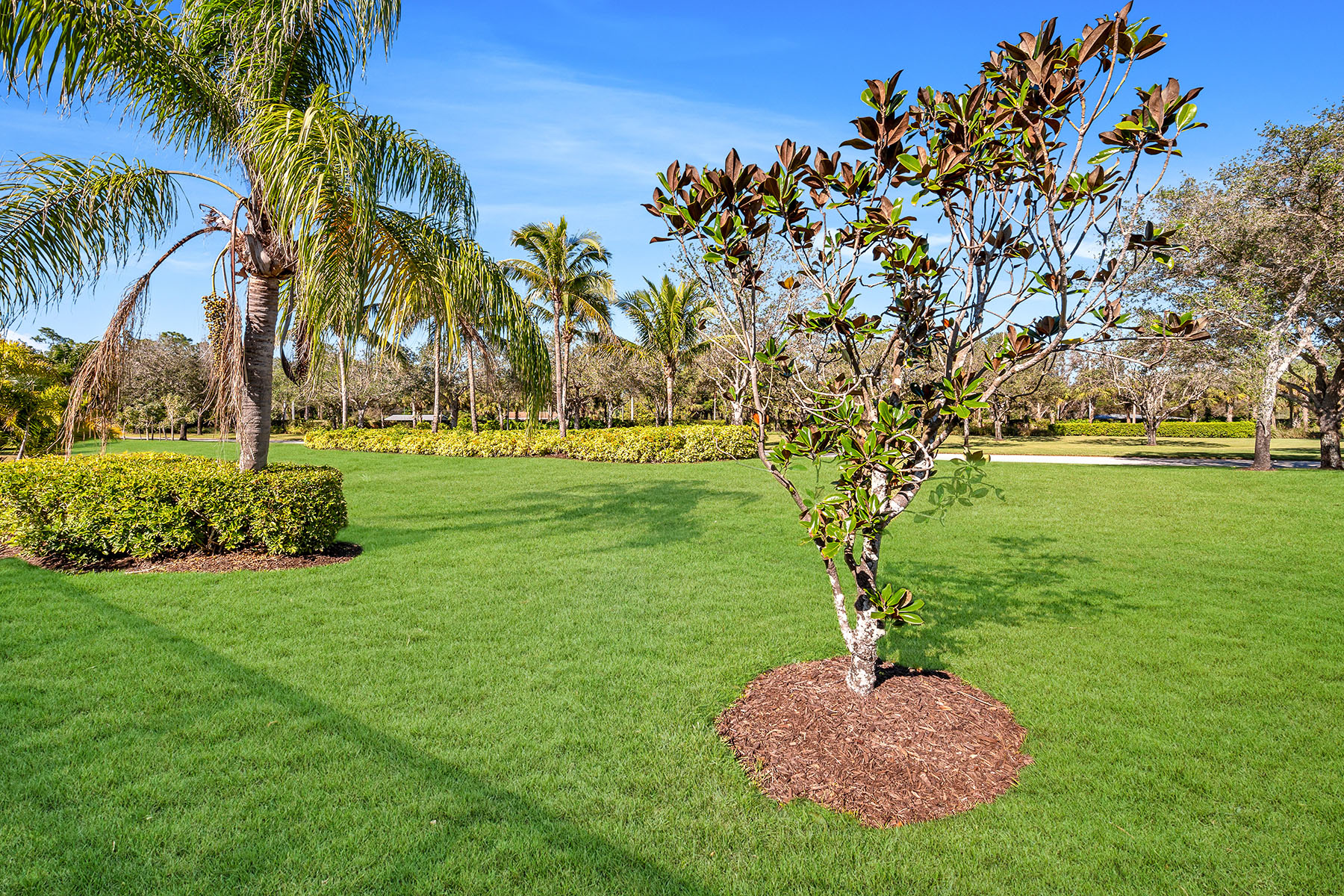 7593 Rozzini Lane