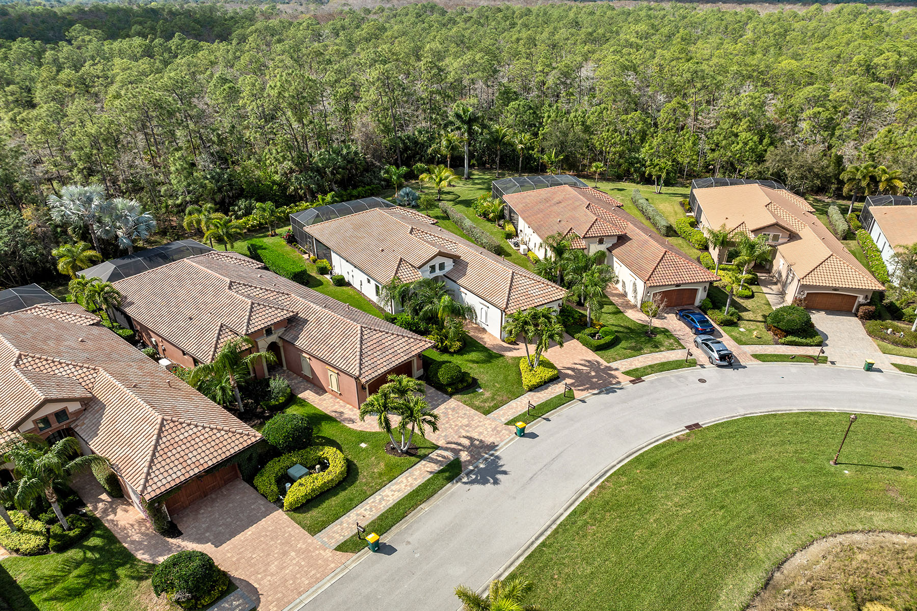 6231 Brunello Lane