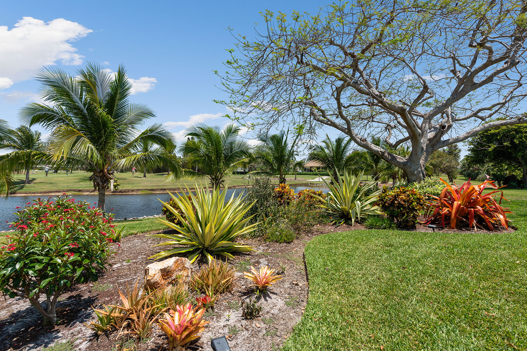 1550 Jamaica Court