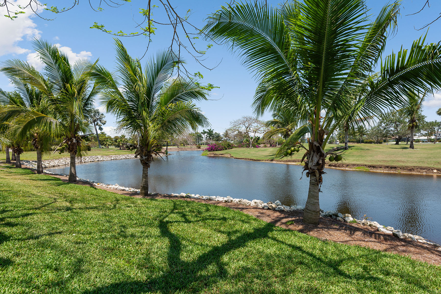 1550 Jamaica Court