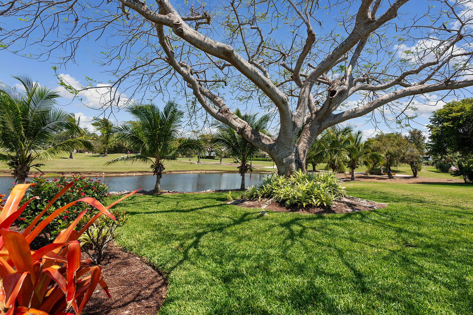 1550 Jamaica Court