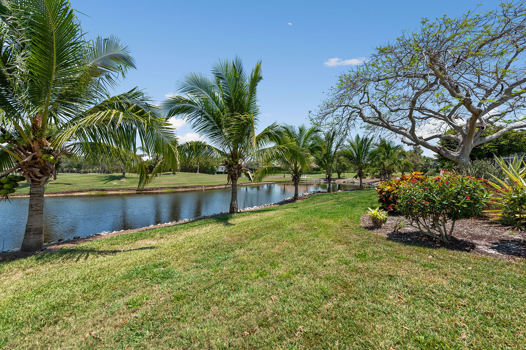 1550 Jamaica Court