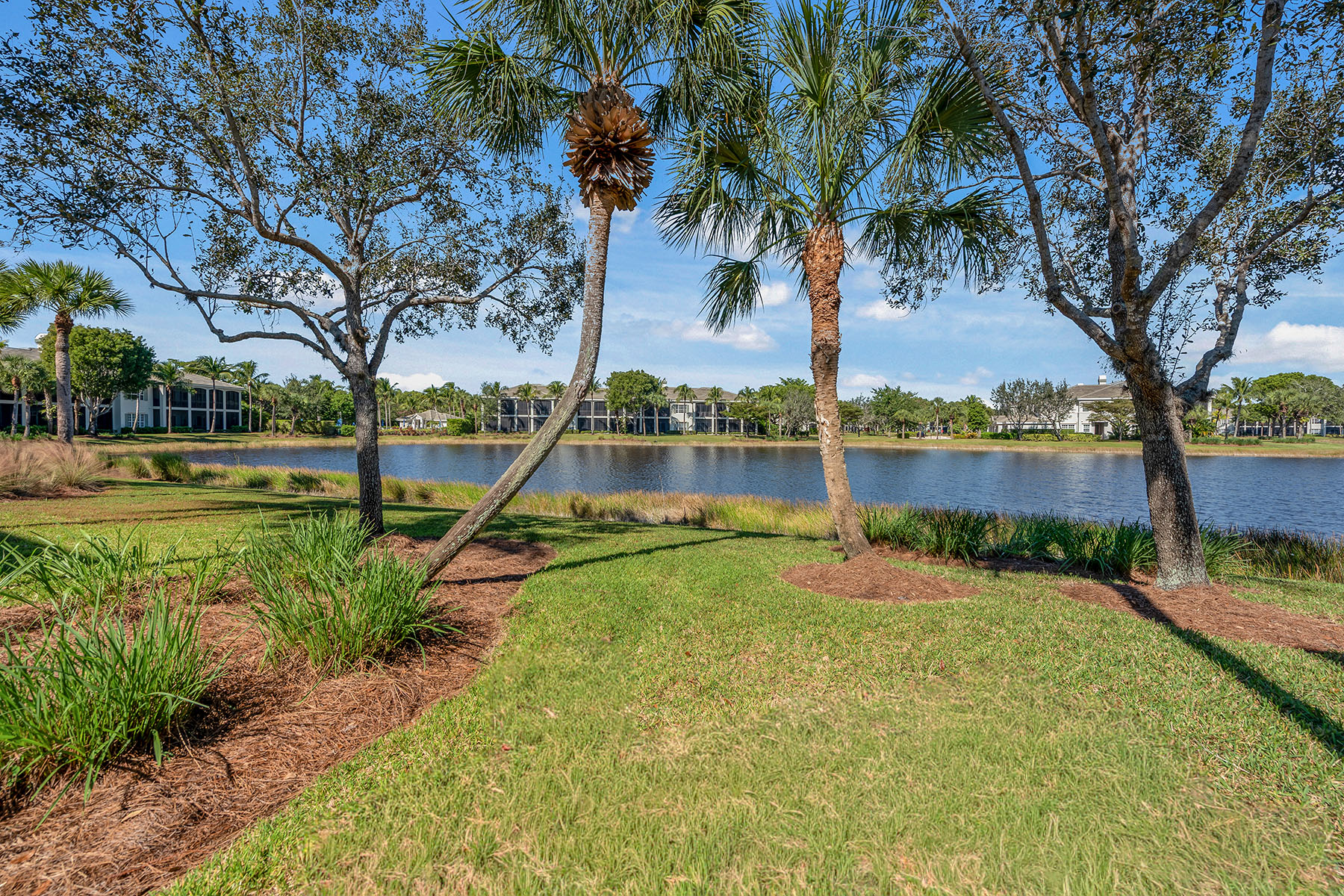 9235 Tesoro Lane , 101