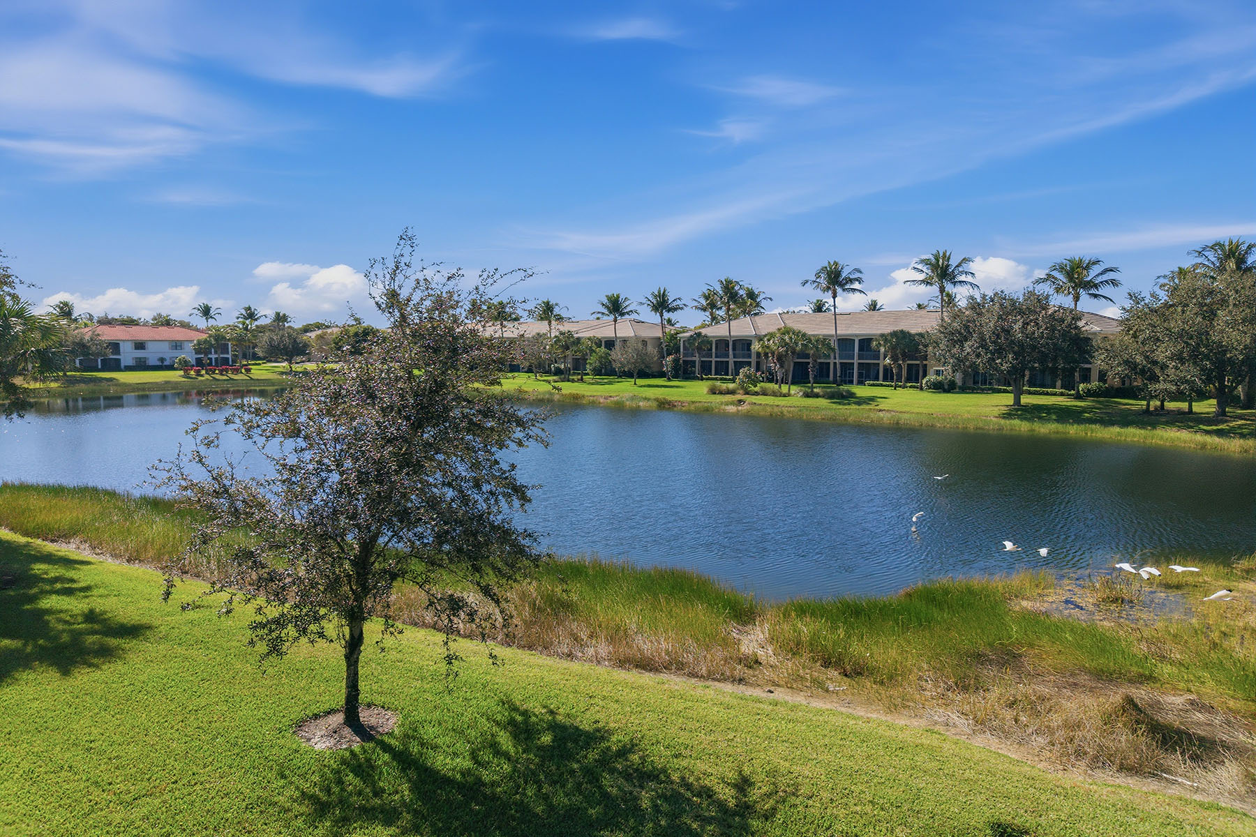 3031 Marengo Court , 204