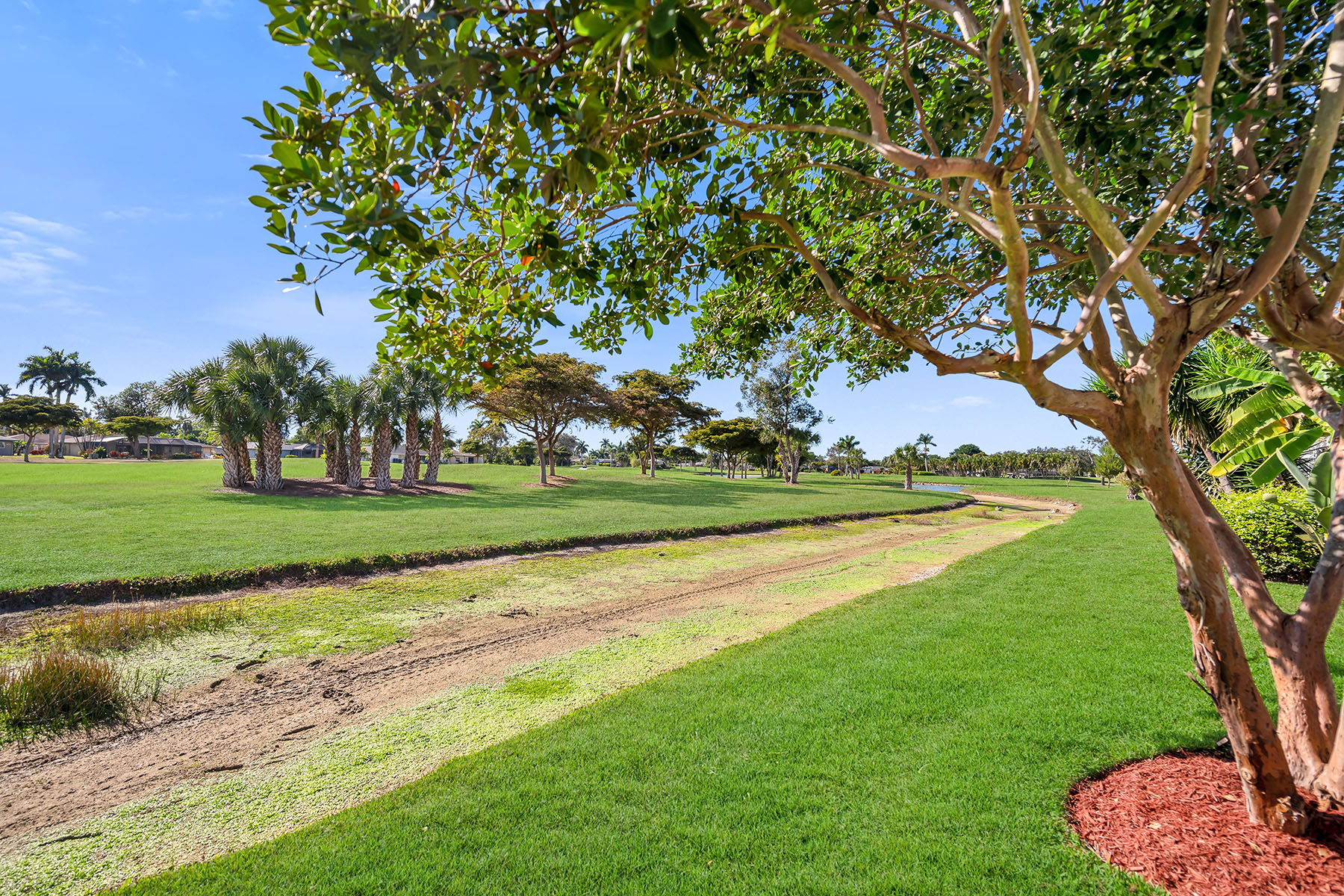 466 Bristle Cone Lane , 34