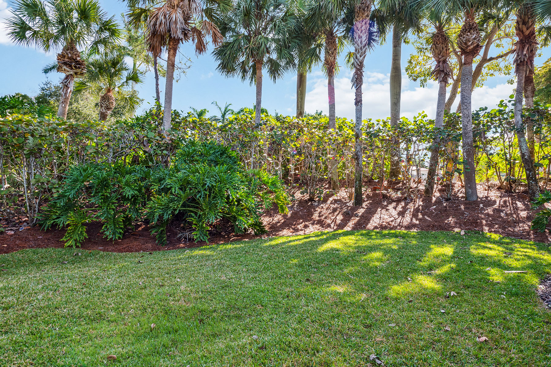 8599 Pepper Tree Way