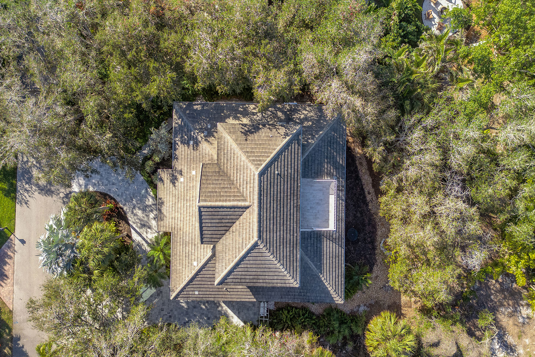 360 Gumbo Limbo Lane