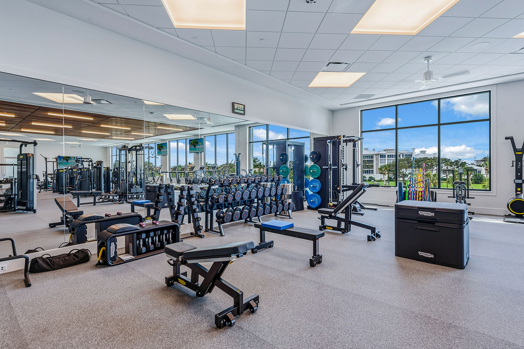 360 Gumbo Limbo Lane