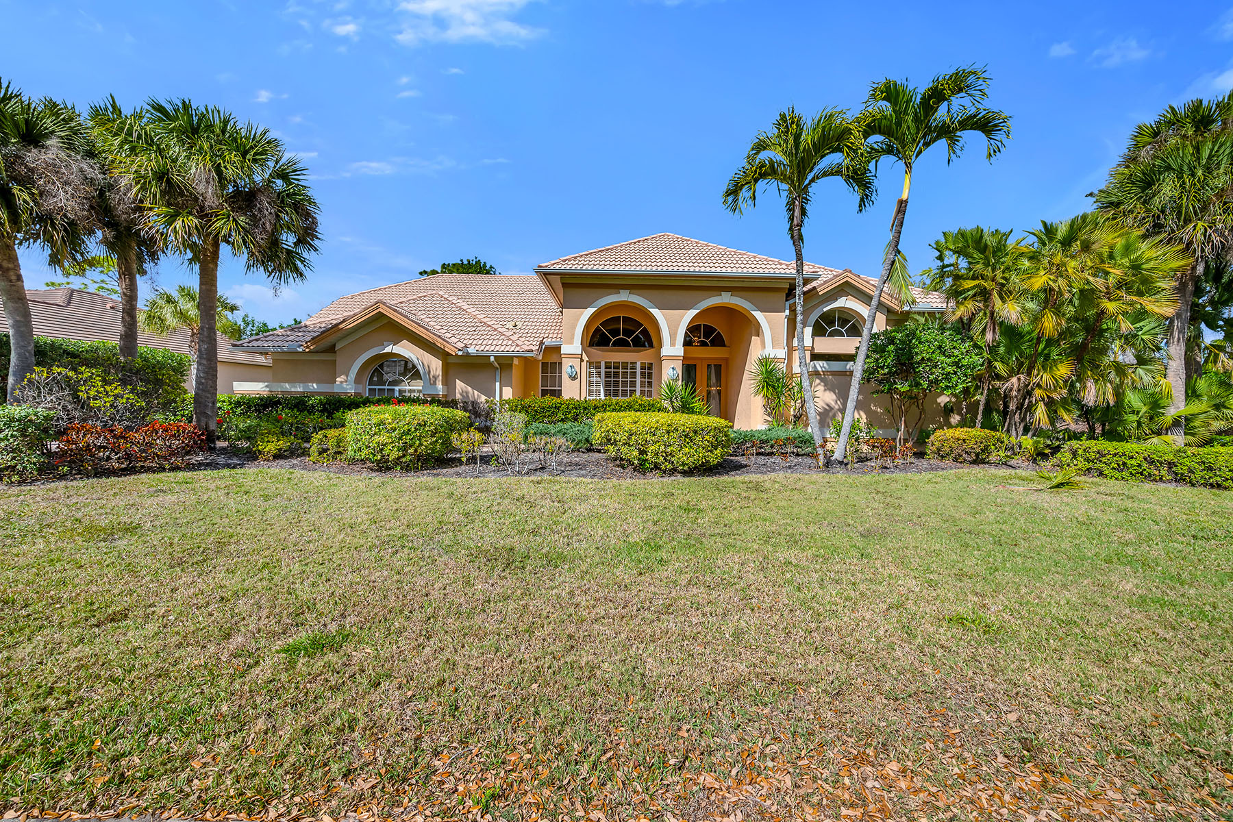 3480 Fiddlehead Court
