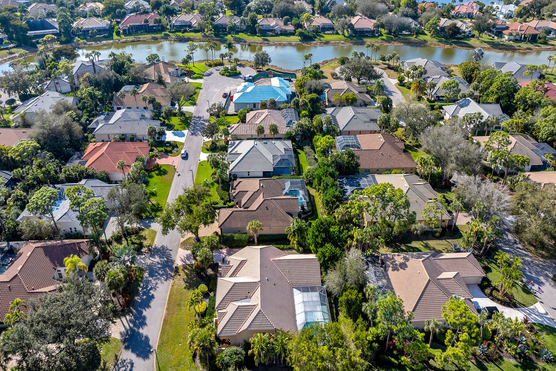 3480 Fiddlehead Court