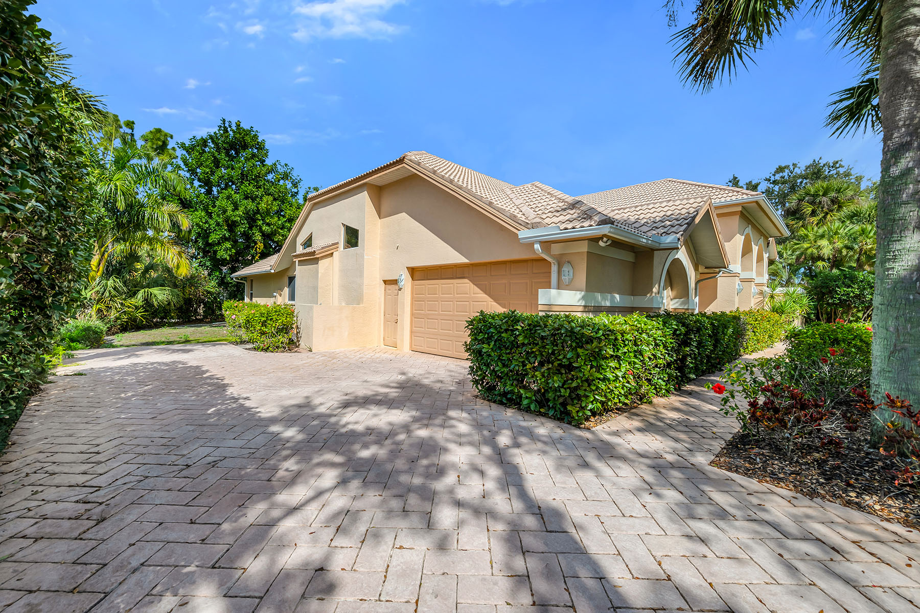 3480 Fiddlehead Court