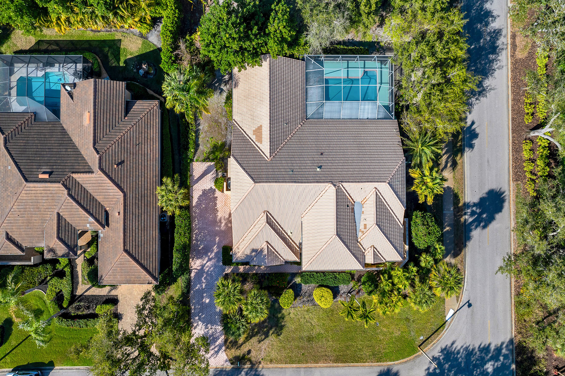 3480 Fiddlehead Court