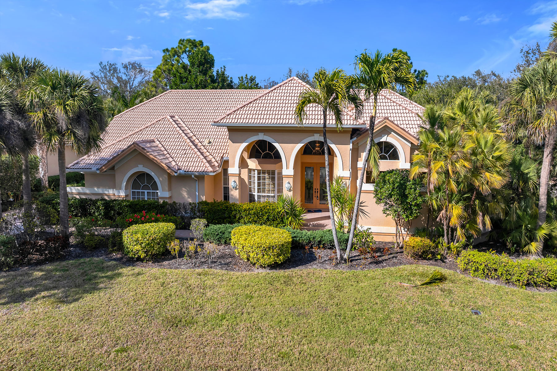 3480 Fiddlehead Court