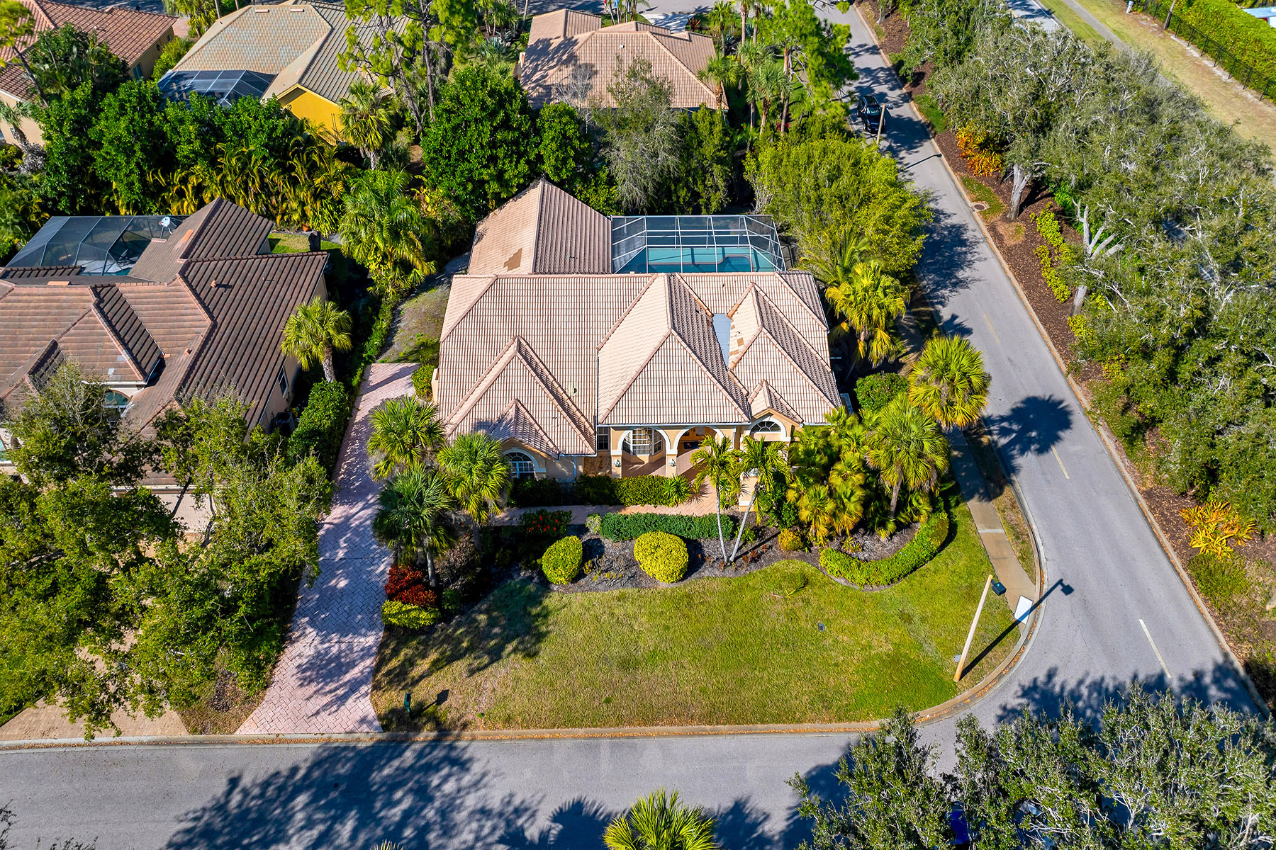 3480 Fiddlehead Court