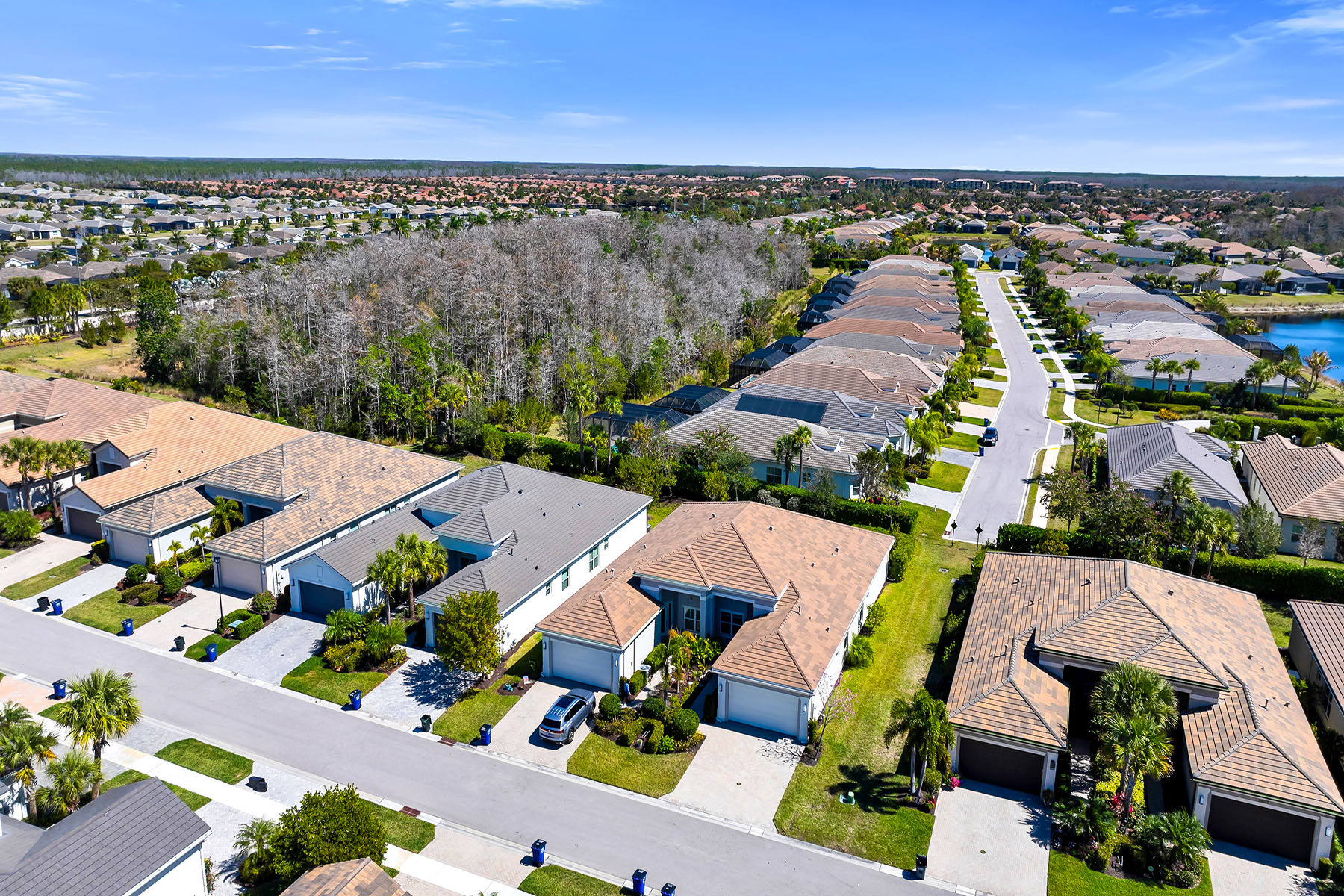 28616 Lobos Circle