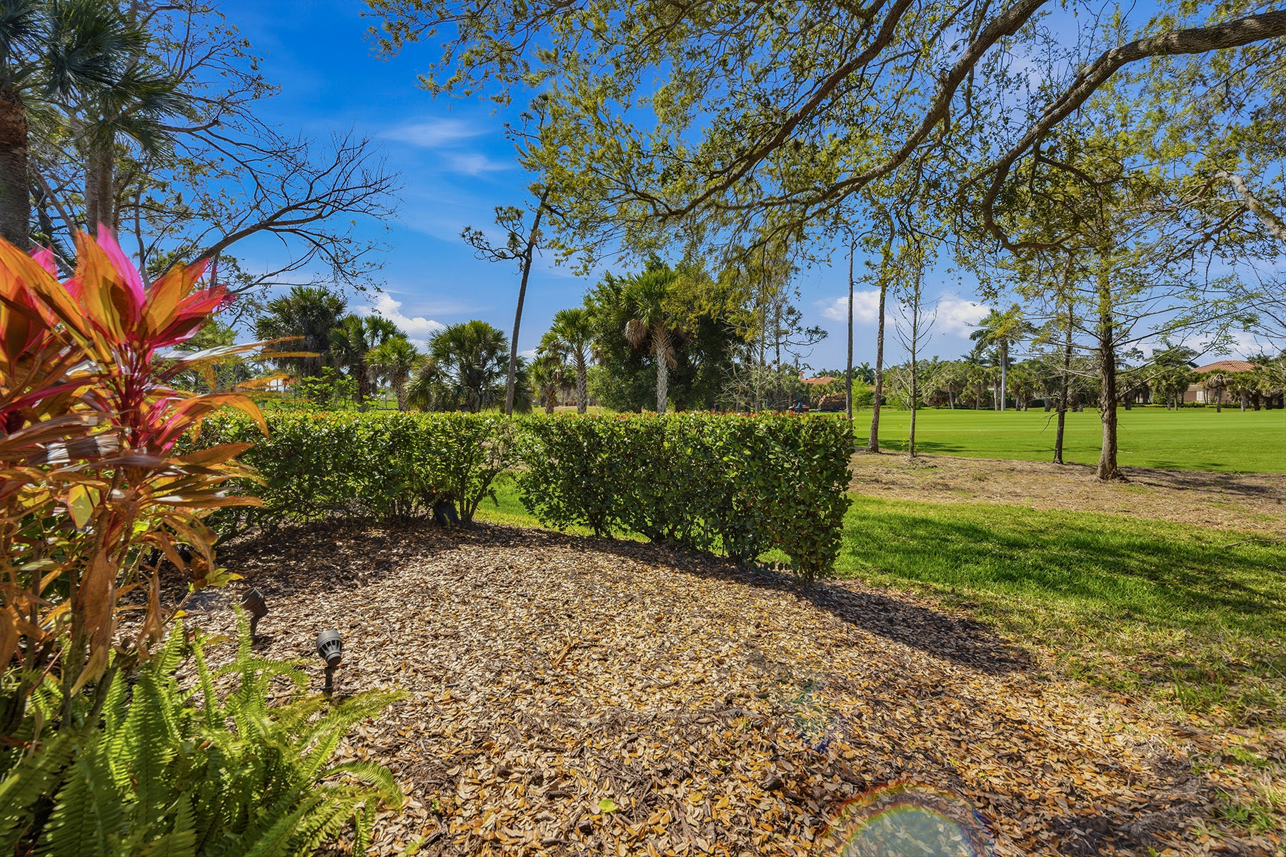 3788 Cotton Green Path Drive