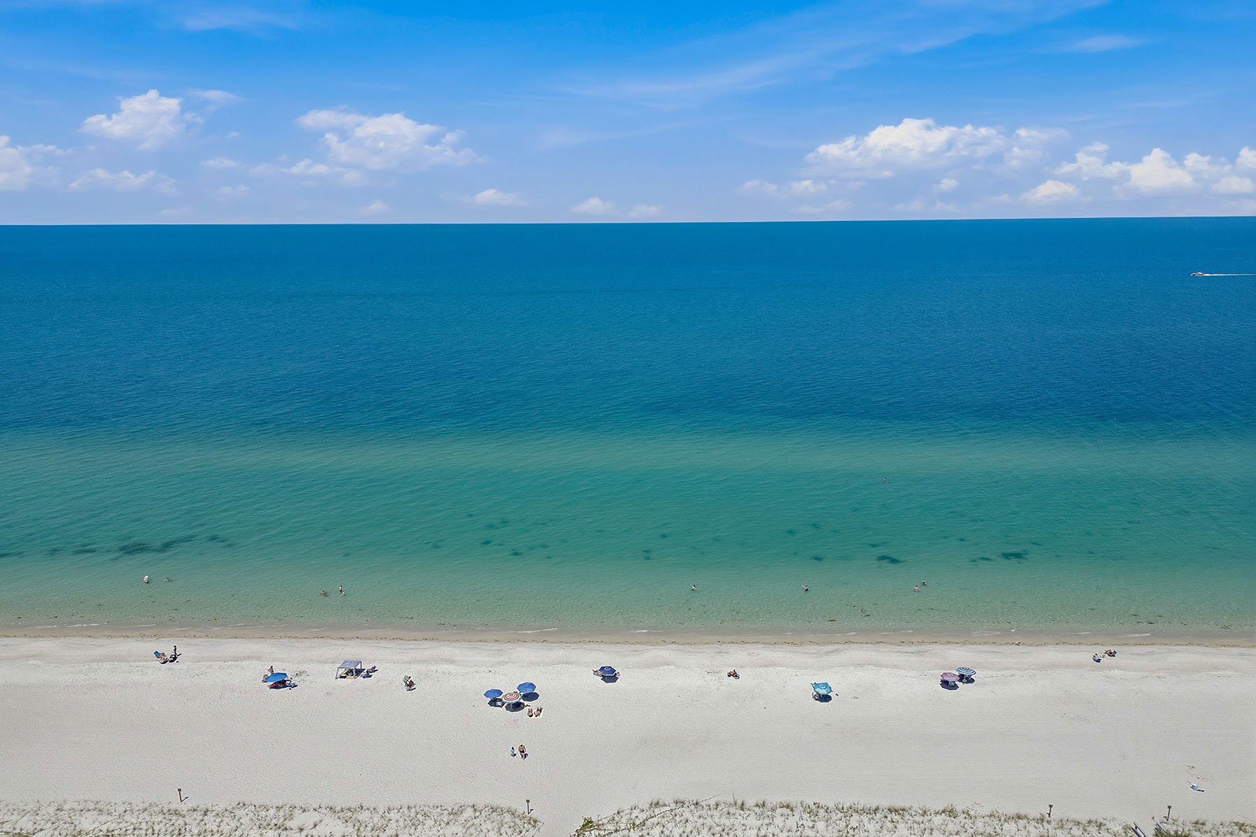 4051 Gulf Shore Boulevard N , 300
