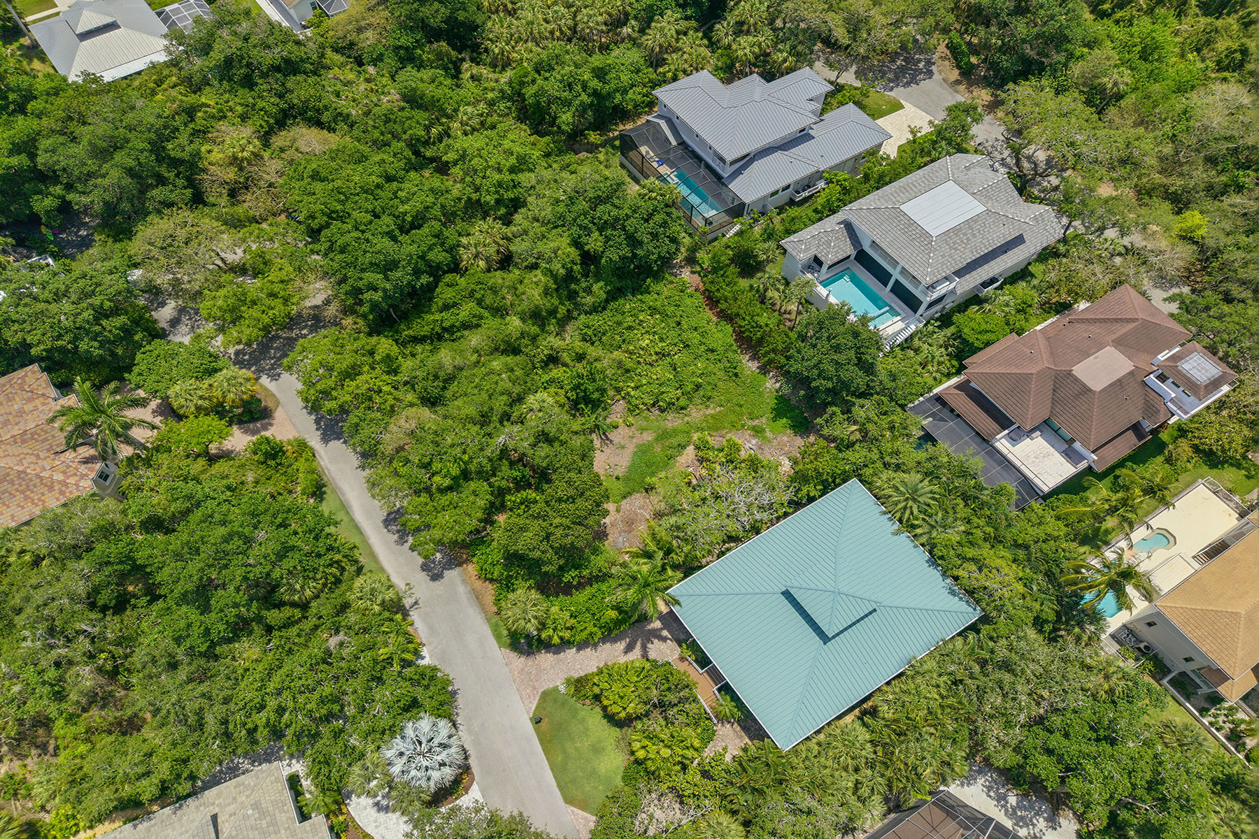 375 Gumbo Limbo Lane