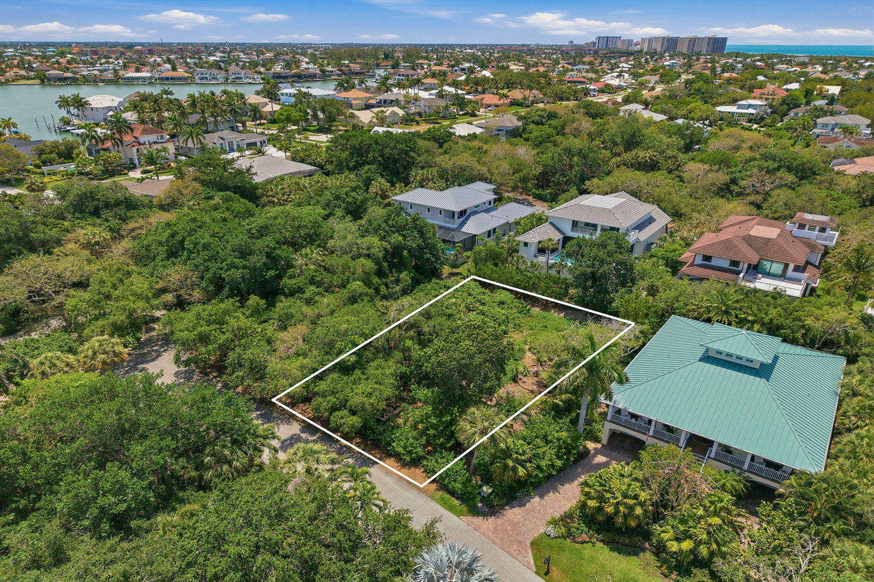 375 Gumbo Limbo Lane