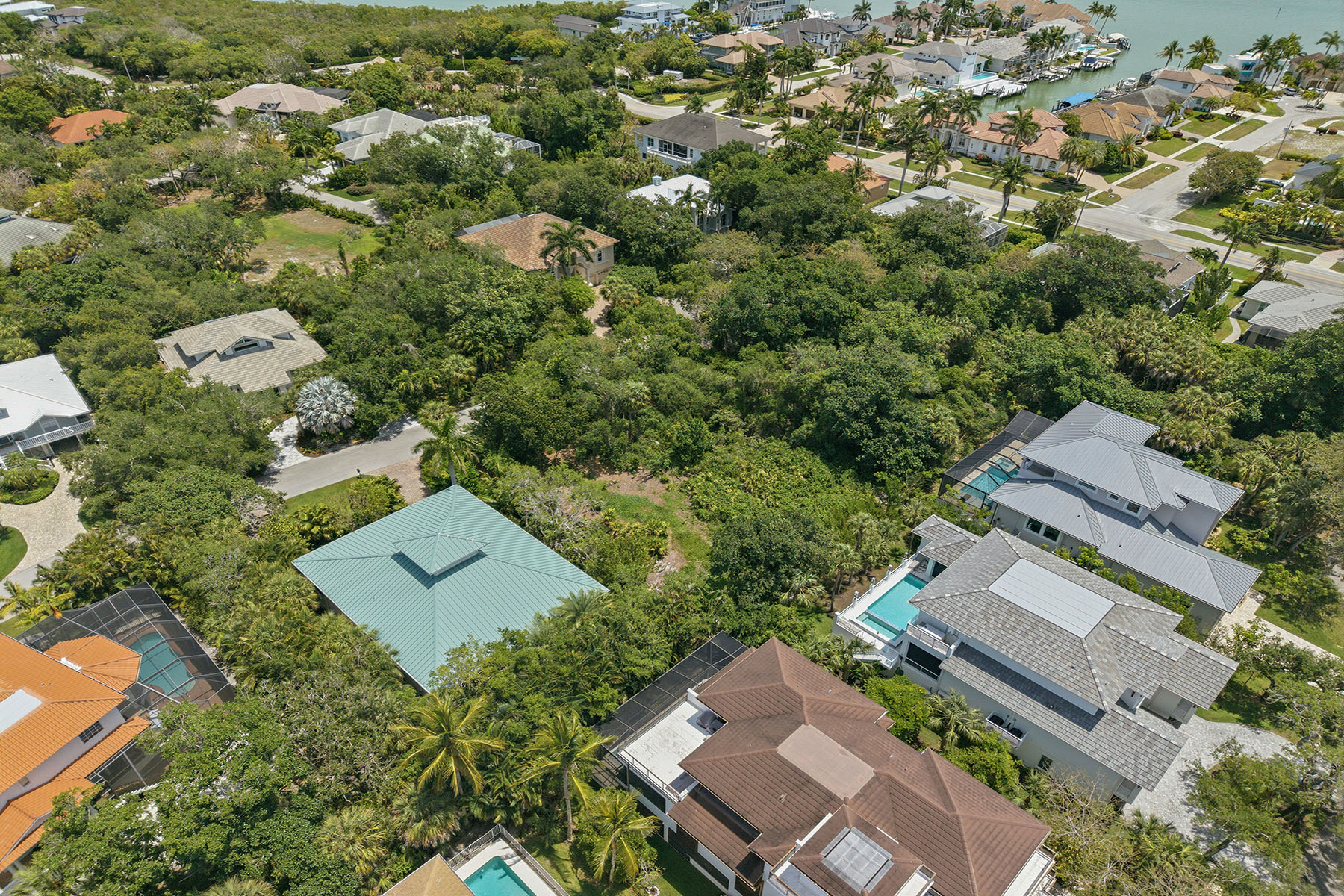 375 Gumbo Limbo Lane