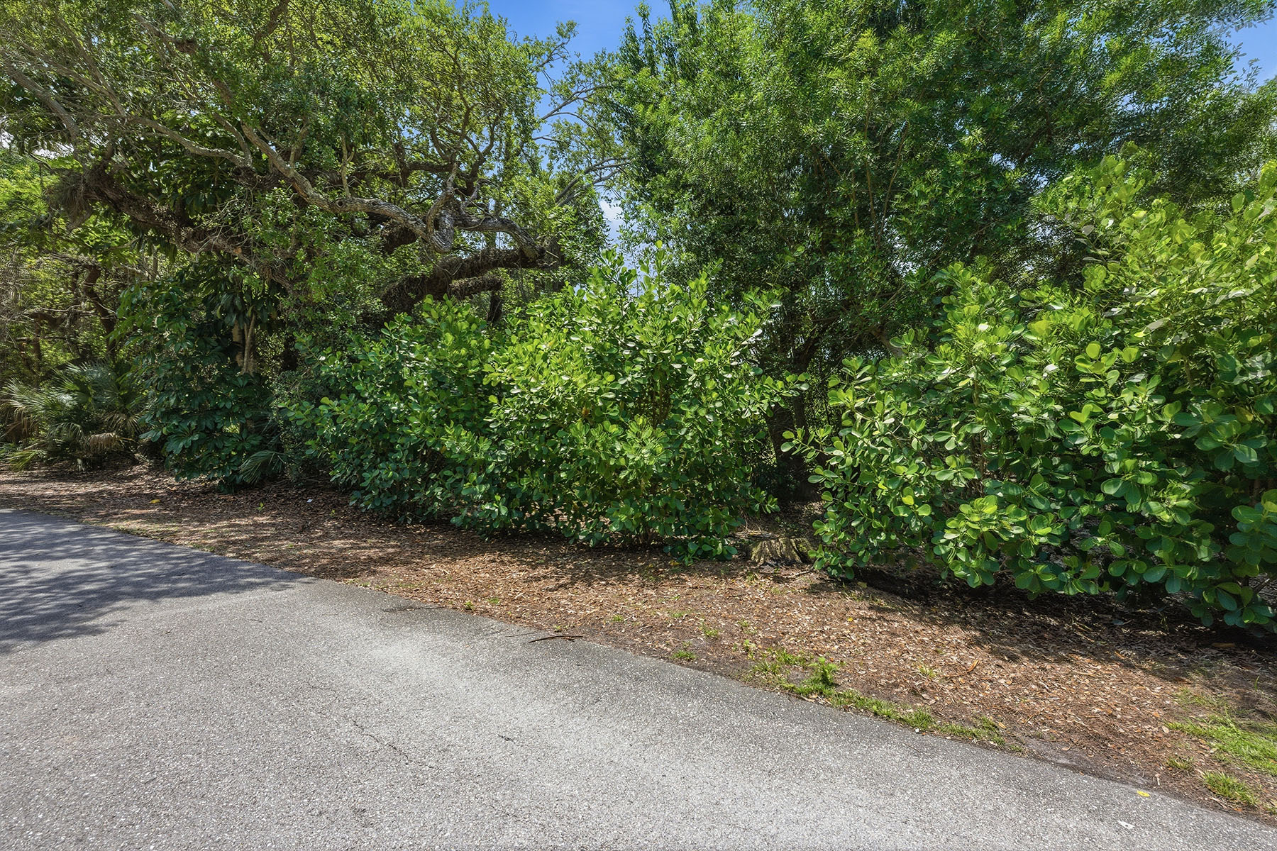 375 Gumbo Limbo Lane