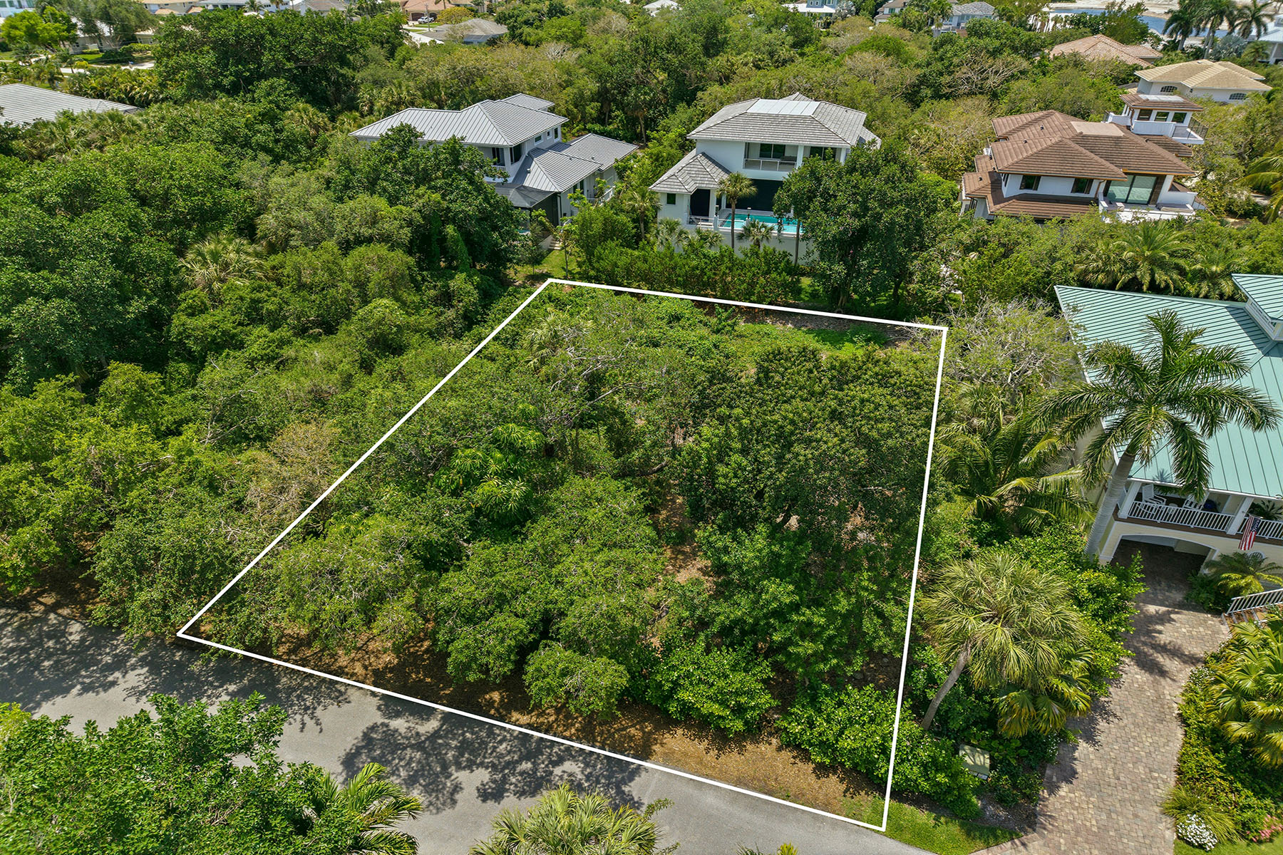 375 Gumbo Limbo Lane