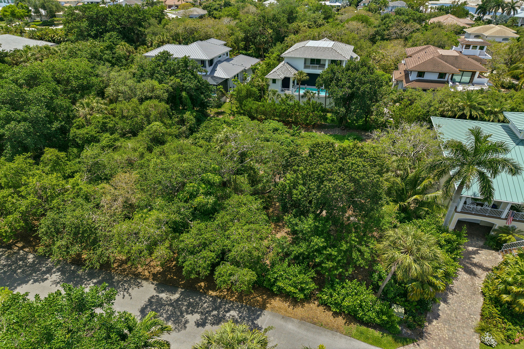 375 Gumbo Limbo Lane